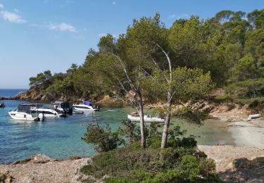 Tour Wandern Bormes-les-Mimosas - cabas son estagnol leoube - Photo