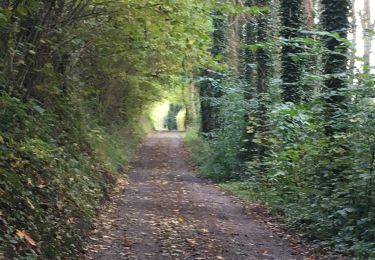Trail Walking Aywaille - Aywaille - Chambralles - Photo