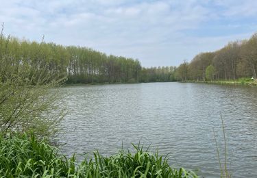 Randonnée Marche Le Rœulx - BE-Le Roeulx - La Haye du Roeulx - Domaine Aldo Vastapane - W - Photo