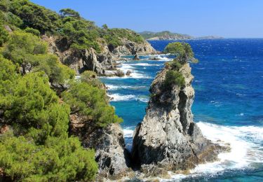 Percorso Marcia Hyères - La Presqu'île de Giens - Photo