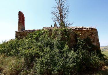 Trail On foot San Quirico d'Orcia - San Quirico d'Orcia - Photo