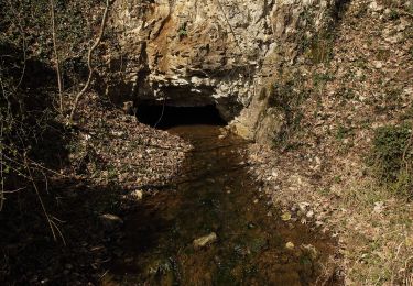 Tour Zu Fuß Pegnitz - Pegnitz-Hubertussteig - Photo