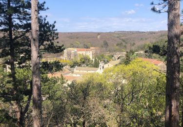 Tocht Stappen Réauville - Abbaye d’Aiguebelle  - Photo