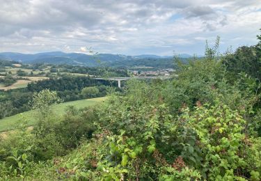 Trail Walking Poncin - Poncin  - Photo