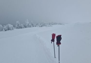 Randonnée Marche nordique Chastreix - chastreix-Sancy - Photo