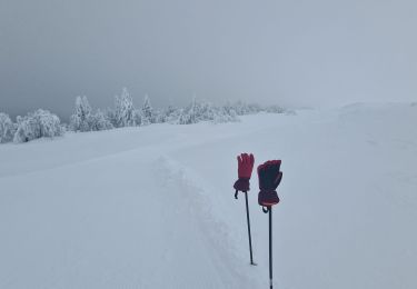 Trail Nordic walking Chastreix - chastreix-Sancy - Photo