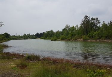 Tocht Stappen Écouflant - Ecouflant les Sablière  - Photo