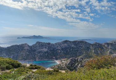 Tocht Stappen Marseille - Calanque de Morgiou - Photo