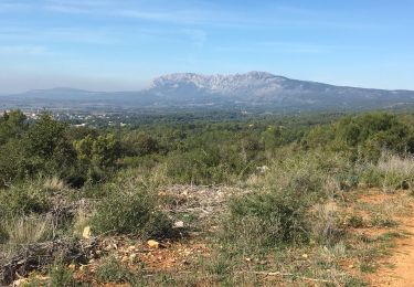 Excursión Bici de montaña Pourrières - Pourrieres - 20 km - Photo