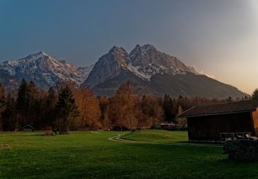 Tocht Te voet Grainau - Sagenhafter Bergwald - Photo