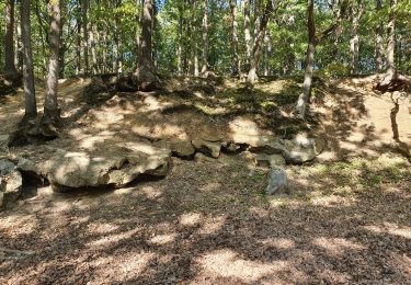 Randonnée Marche Châteaufort - gitane à  Chateaufort  - Photo