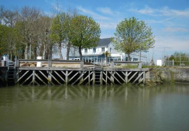 Tocht Stappen Conchil-le-Temple - LP62-Conchil le Temple - La Madelon 8km - Photo