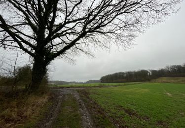 Tocht Stappen Viroinval - Ballade à Treignes - Photo