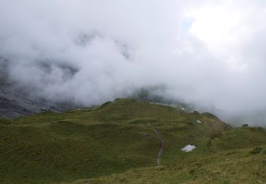 Excursión A pie Wolfenschiessen - Jochpass - Trübsee - Photo