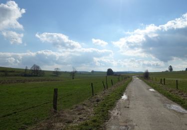Tour Wandern Léglise - Bois Ramon - Juseret - Photo