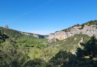 Randonnée Marche Buoux - Sivergues - Photo