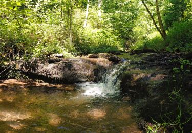 Tocht Te voet Oppenweiler - Bergbaulehrpfad Spiegelberg - Photo