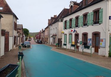 Percorso Bici da strada Paron - 168 S100 Villevallier-01 - Photo