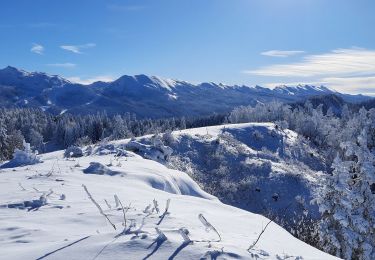 Tocht Stappen Corrençon-en-Vercors - Château Julien  - Photo