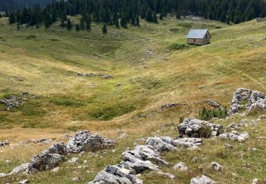 Excursión Senderismo Saint-Agnan-en-Vercors - Tiolache reco - Photo