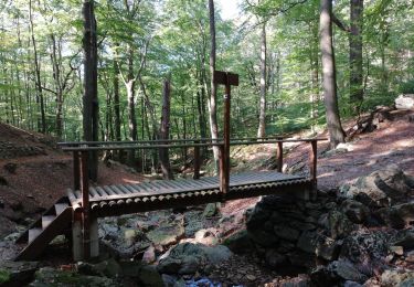 Percorso Marcia Spa - La forêt et les fagnes - Photo