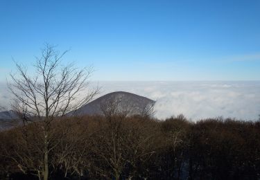 Tour Zu Fuß okres Vranov nad Topľou - Telekia - Photo