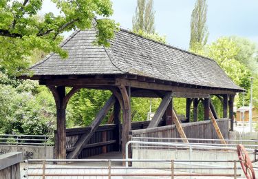 Randonnée A pied Schwandorf - Baustadl-Lindenlohe-Holzhaus - Photo