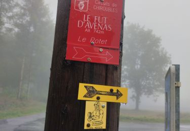 Tour Wandern Chiroubles - Col du fût d'avenants  - Photo