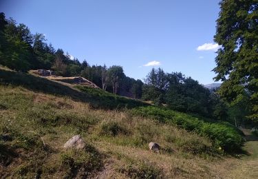 Trail Walking Storckensohn - Storckensohn Gazon Vert - Photo