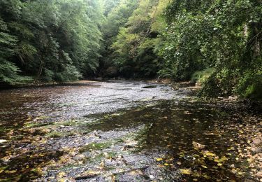 Tour Mountainbike Sorges et Ligueux en Périgord - Vélo - Photo