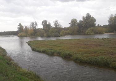 Randonnée Cyclotourisme Ousson-sur-Loire - Loire 45 Briare - Photo