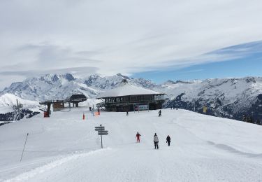 Tocht Sneeuwschoenen Villard-sur-Doron - Mont Bisanne - Photo