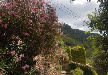 Excursión Senderismo Vieussan - Vieussan, le Pin, Vieussan. - Photo