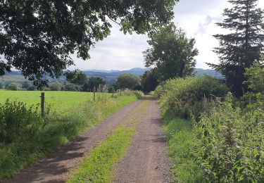 Randonnée Marche Aydat - NARSE D'ESPINASSE DEPUIS LA GARANDIE - Photo