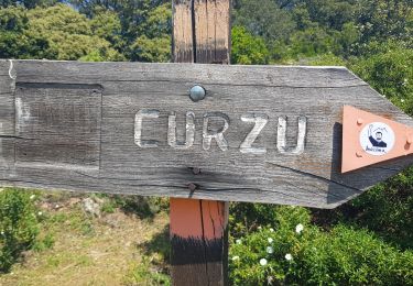 Percorso Marcia Osani - Girolata Curzu - Photo
