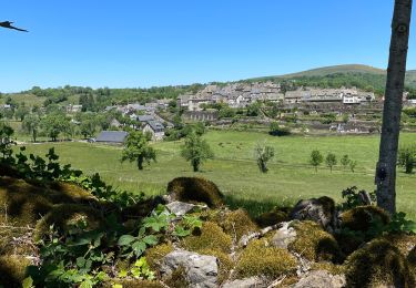 Trail Walking Saint-Martin-Valmeroux - Pastourelle 2022 - Photo