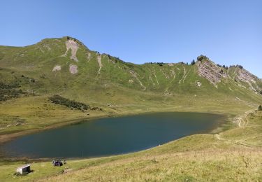 Randonnée Marche Taninges - 11-08-21 lac de Roy et pointe de Haut-Fleury - Photo