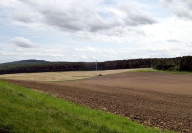 Tocht Te voet Rosdorf - Rundwanderweg Scheden 9 - Photo