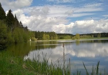 Percorso A piedi Neustadt an der Orla - Naturlehrpfad Dreba - Plothen - Photo