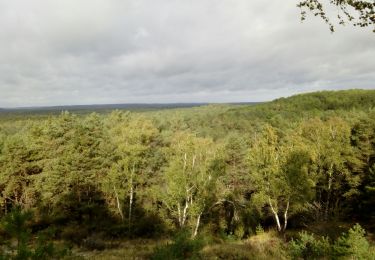 Trail Walking Fontainebleau - Franchard f - Photo