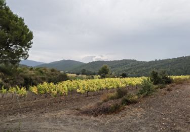 Randonnée Marche Pierrefeu-du-Var - 2021-10-21 les hameaux de Pierrefeu - Photo