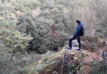 Tour Wandern Saint-Ouen-le-Brisoult - Saint-Ouen de Brisoult - Goeges de Villiers - Photo