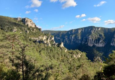 Tocht Stappen Le Rozier - Gorges de la Jonte - Photo