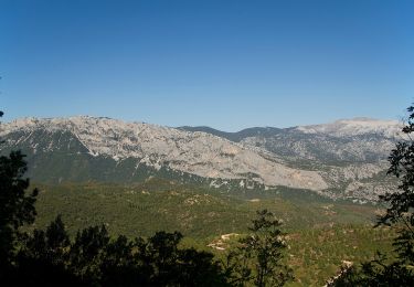 Percorso A piedi Dorgali - (SI Z13) Durgali – Sa Barva - Photo