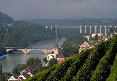 Percorso A piedi Eglisau - Eglisau Bahnhof - Tössegg Schiffsteg - Photo