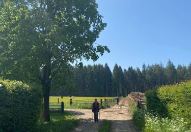 Randonnée Marche Paliseul - Maissin - Photo