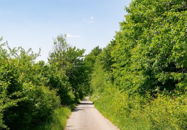 Excursión A pie Höxter - Erlesene Natur - Zu Besuch im Paradies - Photo