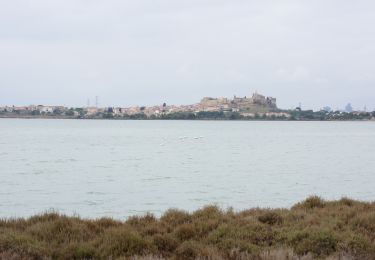Tour Zu Fuß Fos-sur-Mer - Fos - tour etang de l'Estomac - Photo