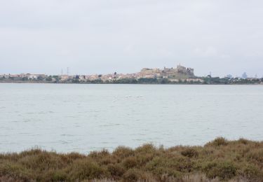 Tocht Te voet Fos-sur-Mer - Fos - tour etang de l'Estomac - Photo