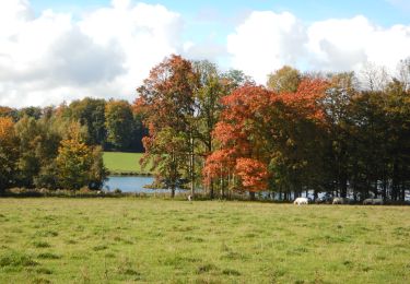 Trail Walking Libramont-Chevigny - RB-Lu-22_Flohimont_via-racc - Photo